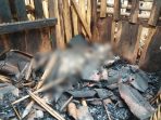 Kondisi sebagian rumah dan kandang kambing milik Jumani di Desa Jetiskidul, Pacitan yang hangus akibat kebakaran rembetan pembakaran sampah. Kondisi sebagian rumah dan kandang kambing milik Jumani di Desa Jetiskidul, Pacitan yang hangus akibat kebakaran rembetan pembakaran sampah.