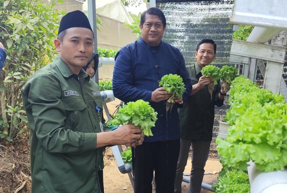 Kepala SMKN 1 Nawangan Redy Yuniarto, Wakil Bupati Pacitan Gagarin Sumrambah, dan Kepala Cabdin Pendidikan Wilayah Pacitan Sasmito Pribadi menunjukkan hasil panen selada hidroponik.