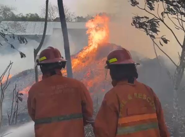 Petugas Damkar berjibaku memadamkan kebakaran limbah kayu di Donorojo.