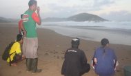 Konservasi Penyu Terkendala Dana, Gaji Pengurus Tersendat Konservasi Penyu Terkendala Dana, Gaji Pengurus Tersendat