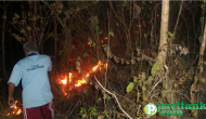Lagi, Kebakaran Lahan dan Hutan Terjadi di Pacitan Lagi, Kebakaran Lahan dan Hutan Terjadi di Pacitan